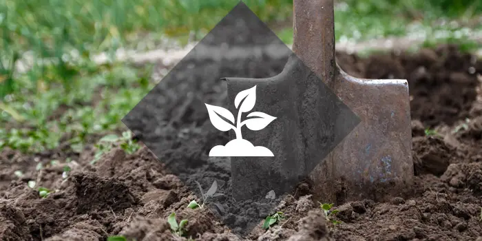 planting Planting