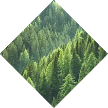 Sustainability