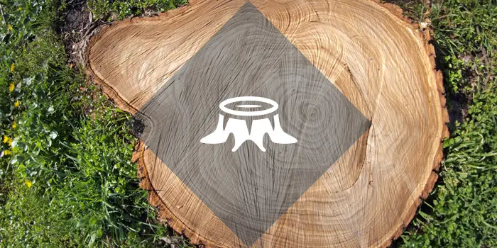stump-grinding-surrey Stump Grinding Surrey
