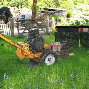 stump-grinding-in-surrey