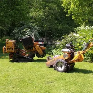 Stump Grinding