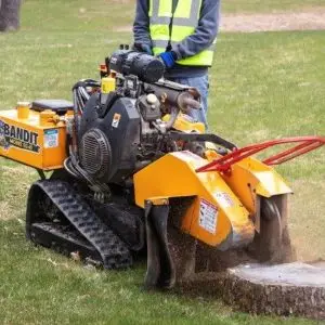 Bandit-Stump-Grinder