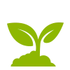 replanting