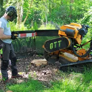 Out There Trees Stump Grinding