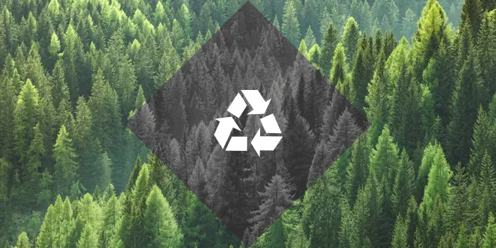 sustainability-out-there-trees Sustainability - Out There Trees