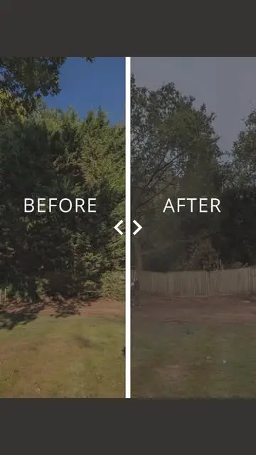 Removing a row of leylandii to open up the rear of this property.

#treesurge...